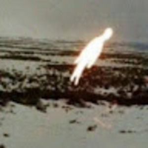 Meet your Posher, Gracey